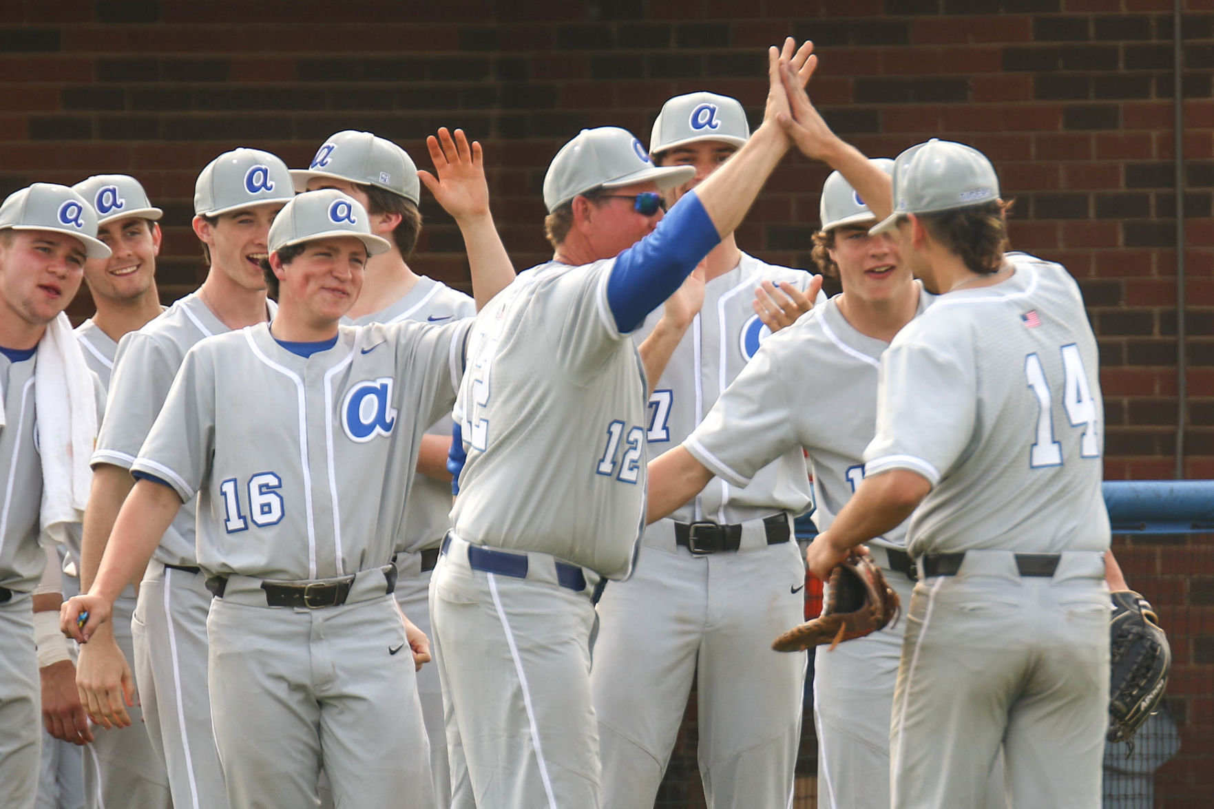 Auburn High vs. Hewitt-Trussville high school baseball